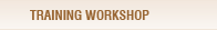 Training Workshop